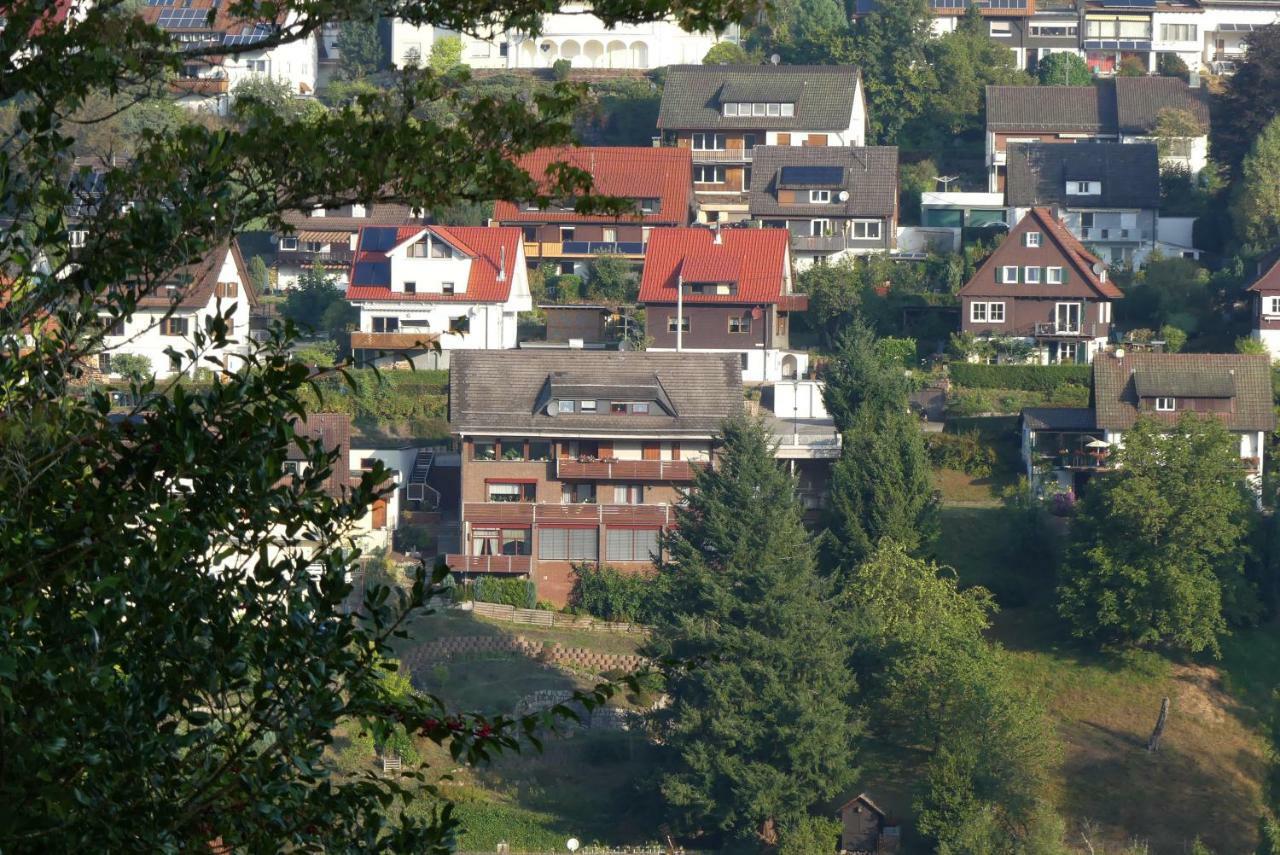 Haus Krick Apartment Alpirsbach Exterior photo